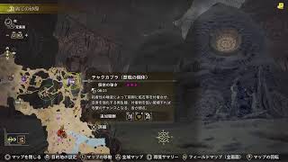 [MHWS]レ·ダウから　後半半分寝落ちです。