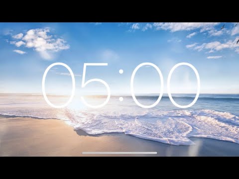 5 Minute Timer - Sounds of the Beach