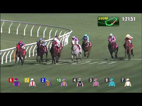 17/2/2021 (436) Savaquin -  Z Purton