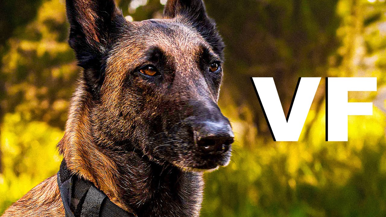 Miniature de la vidéo DAKOTA Bande Annonce VF (2022) du film Dakota