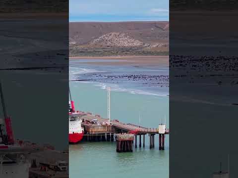 Puerto Santa Cruz Patagonia Argentina 🇦🇷 #videodronesanjulian