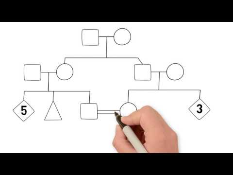 How to Draw a Family Tree - Part 1 Introduction