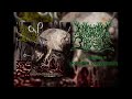 Defenestrated Treachery Laceration Commandments Slamming Brutal Death Metal
