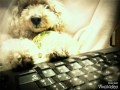 Everybody Good Night See You Tomorrow