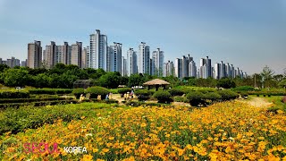Download lagu Jamsil-dong Street •[4k] Seoul, Korea mp3