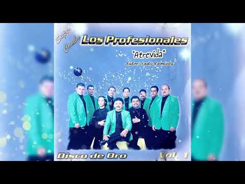 ATREVIDA Super Combo LOS PROFESIONALES de Zea, Mérida-Venezuela