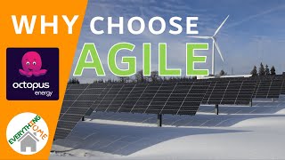 Octopus Energy: Why Choose Agile - An Introduction [2021] - Do I Save Any Money And If So, How?