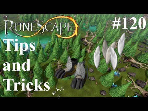 Max Agility Without Training : RuneScape 3 Tips and Tricks 120