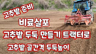 고추밭 만들기 트랙터로 일명 망싸기 골간격 두둑높이 비료 살포 [고추재배방법]