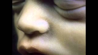 Download lagu Rammstein - Feuer Frei (HQ) mp3