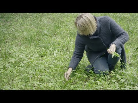 Salzdirndl.com – Am Puls der Natur im Hexenatelier in Bad Goisern