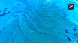 Ein seltenes Phänomen im Attischen Meer: Unterwasserdünen