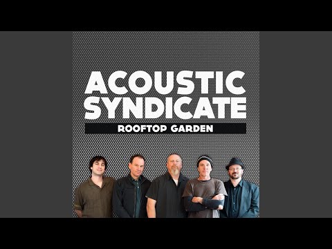 King For A Day - Acoustic Syndicate