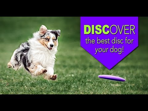 Disc Demos