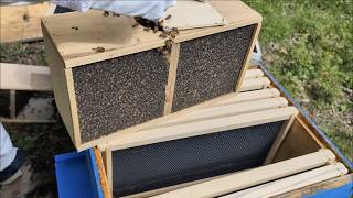 Download the video "Installing Packaged Bees"