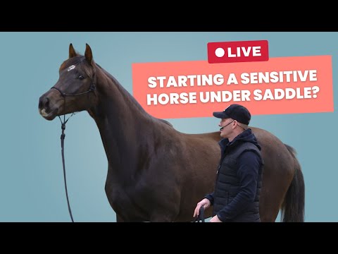 TRT Method Virtual | The Sensitive Young Horse