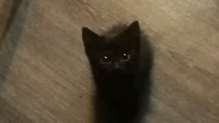 エイム練デスマ