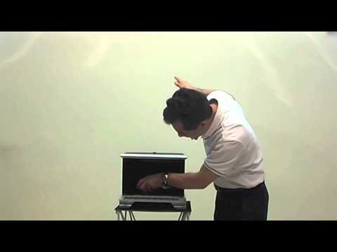 Dove to Rabbit Cage - Tora Magic