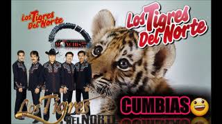 los tigres del norte puras cumbias