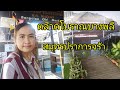 พัสดุ jt express