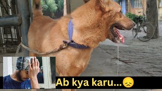 My DOG has rabies 😞😭 | what should I do | SAHIL KHATRI |