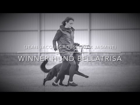 Winner Hund Bellatrisa - obedience & protection