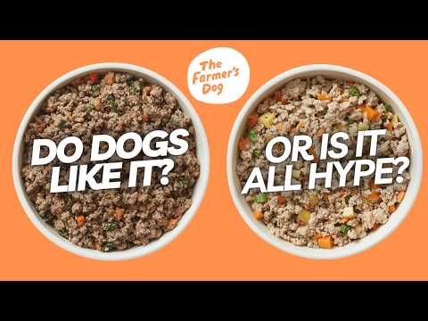Every Recipe of The Farmer’s Dog Reviewed (See How It Actually Looks!)