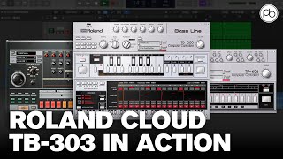 Video thumbnail for How to Make an Acid Bassline with the TB-303 by Roland Cloud by pointblank Music School