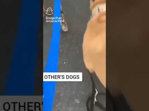 don't miss the end 😂😂