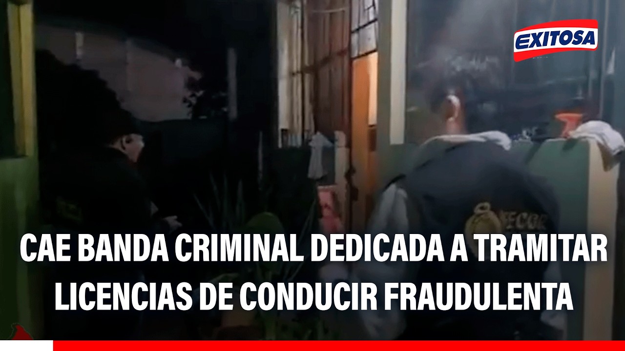 🔴🔵 Cae organización criminal dedicada a tramitar licencias de conducir de manera fraudulenta