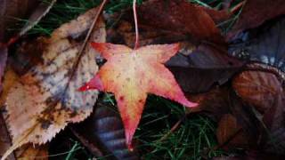 Richard Marx - When November Falls