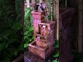 Grackle gets backup to claim the water #ohiobirds #grackle #birds #bird #fountain #birdfight