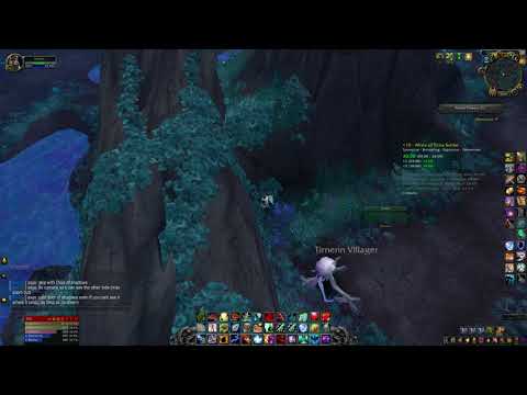 Door of shadows skip in Mists of Tirna Scithe