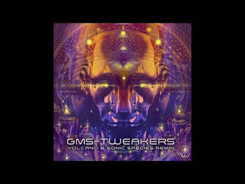 G.M.S - Tweakers (Volcano & Sonic Species Remix)