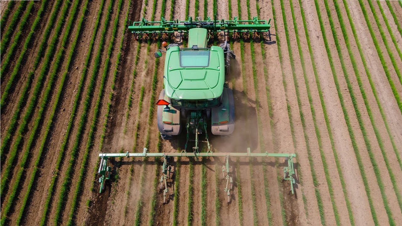 Finger Weeders Reduce Hand Labor On Large Scale Organic Vegetable Farms