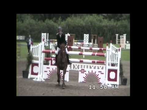 Copy of BLM Sport Horses - 2013 - Dinken Diamond By: Diarado