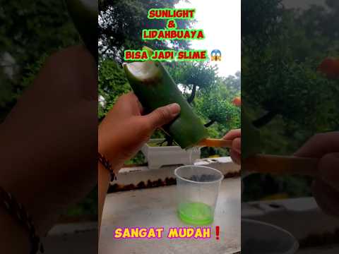 CARA TERBARU❗️BIKIN SLIME DARI LIDAHBUAYA DAN SUNLIGHT ANTI GAGAL #shortvideo #shorts #funny