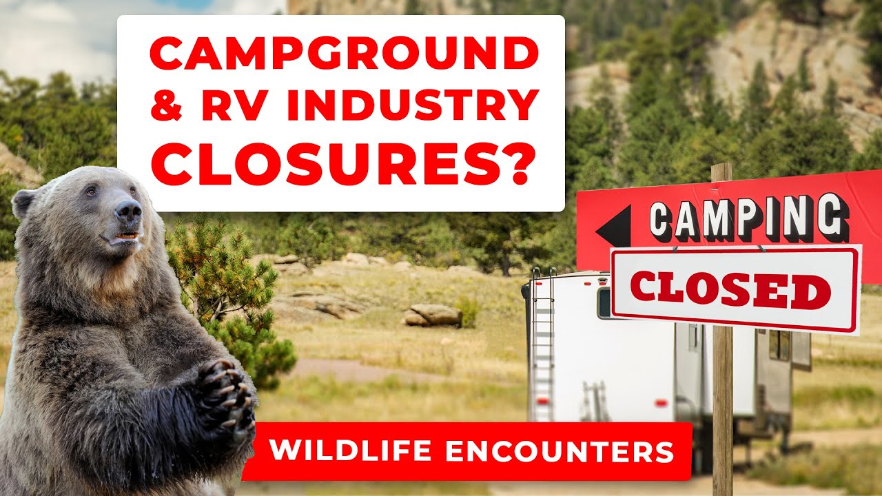 RV Industry and Camping Shutdowns, Starlink Mini, and Scary Wildlife Encounters