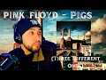 FIRST TIME Hearing - Pink Floyd - Pigs (Three different Ones) REACTION