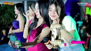 Download lagu VELOZTA MUSIC - MANGKU PUREL ALL ARTIST - KELAHIRAN ALVA CIRRILLO DIONISIUS PUNCEL DUKUHSETI PATI mp3 Download lagu VELOZTA MUSIC - MANGKU PUREL ALL ARTIST - KELAHIRAN ALVA CIRRILLO DIONISIUS PUNCEL DUKUHSETI PATI mp3