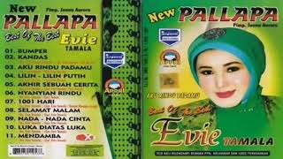 Download lagu New Pallapa Best Of Evie Tamala Vol 1 Full Album mp3