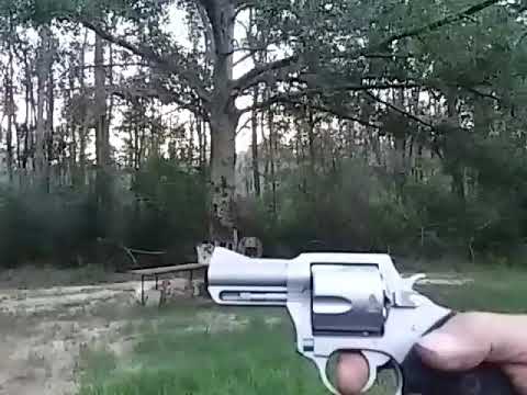 Charter Arms Bulldog - Good or Garbage? #wheelgun 