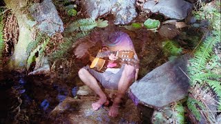 I am the Cosmos (Chris Bell cover)