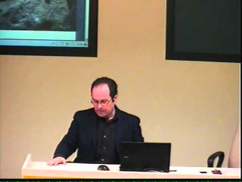 John Bolender: Social Cognition and Self-Organization