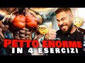 THE ONLY 4 CHEST EXERCISES YOU NEED