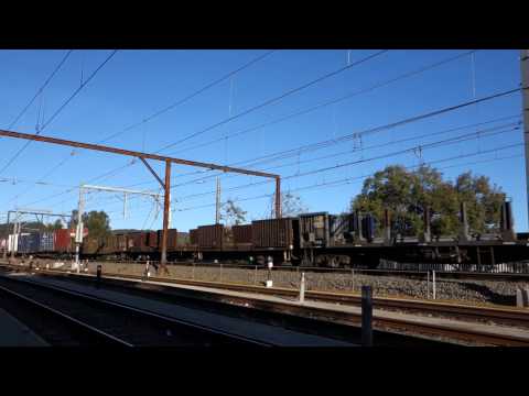 5 locos on short 3NY3 - 8/7/14