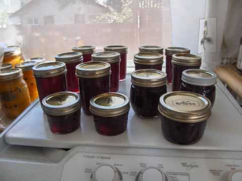 Xed & Jumbo - Nema džema.wmv