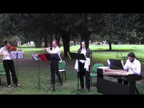 Mirella Golinelli - Diamond Ensemble  - Se parto, se resto - A. Vivaldi