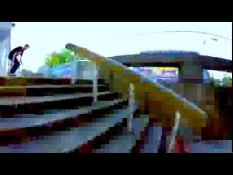 adidas Skateboarding Pacific Northwest