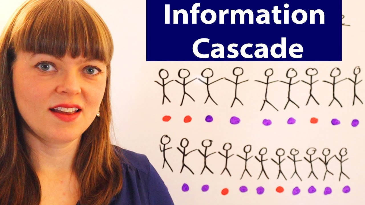 Information Cascade
